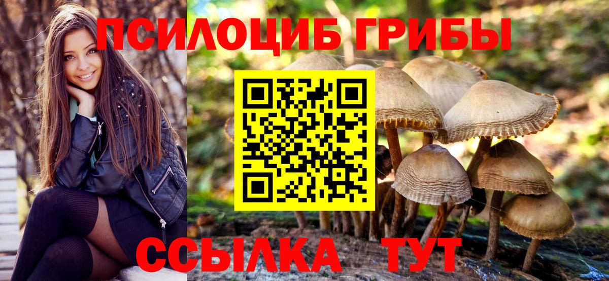Галлюциногенные грибы прущие грибы Новоуральск
