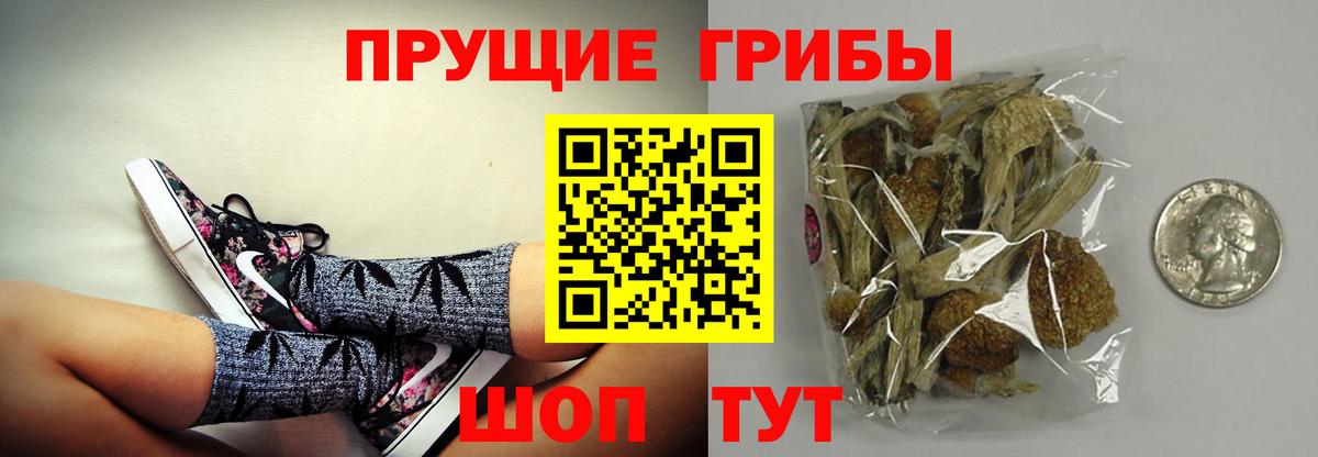 Новоуральск  Галлюциногенные грибы Cubensis  Вход с VPN 